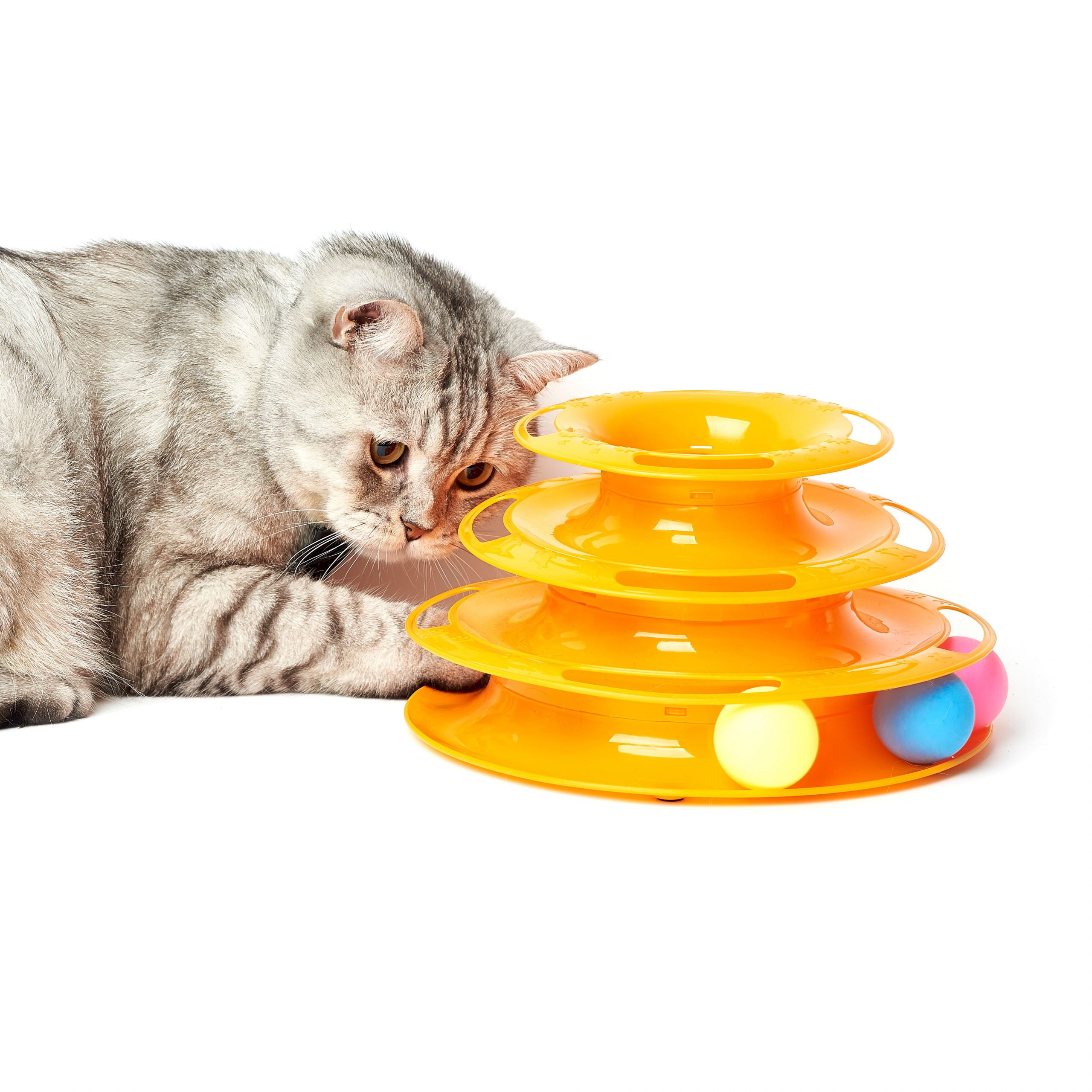 Развивающая игрушка для кошек «Гонщик», 3 уровня